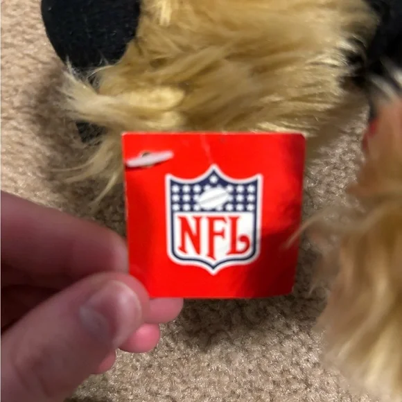 Tampa Bay Buccaneers Plush Bear - Picture 7 of 10